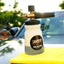 ZEPHYR FOAMER/ LANCE 1/4" QUICK  COUPLING